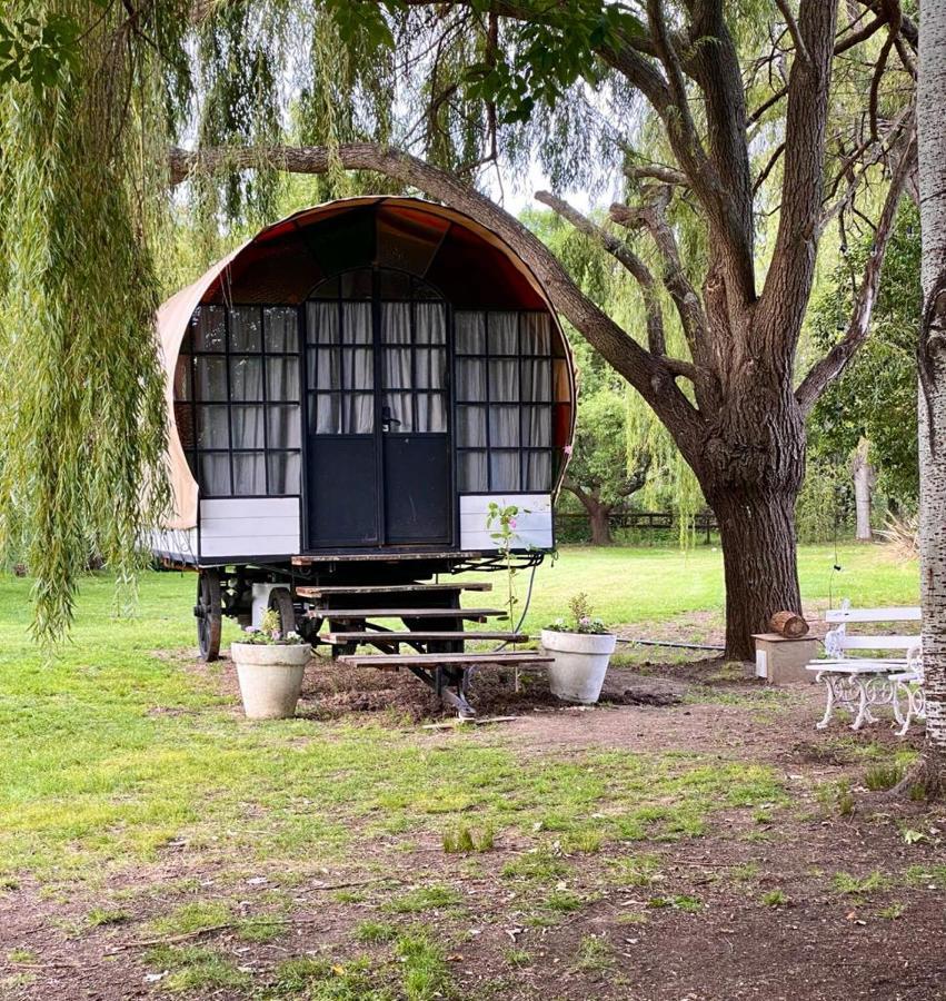 Don Aniceto Lodges & Glamping Luján Exterior foto
